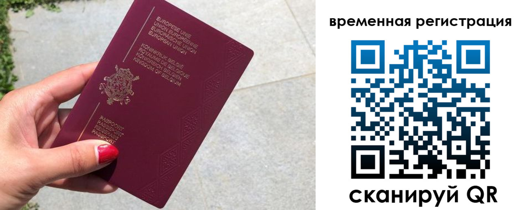 пропишу в квартире в Бабаево